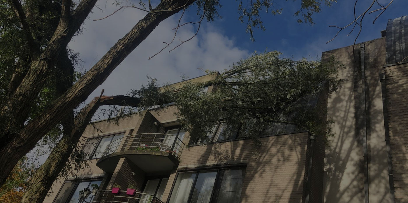 Snelle hulp bij stormschade